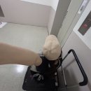 나에개로 이미지