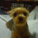 엄지약국 이미지