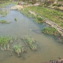 보미리즌빌 화장실 이미지