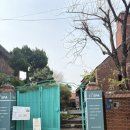 강남스파 | YJ스파 강남점 강남 마사지샵 스웨디시 후기