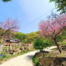 산머루마을 이미지