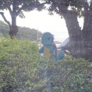 푸라닭해운대점 이미지