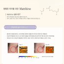 디-라인 이미지