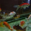 신촌당구타운 이미지