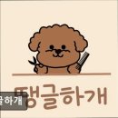 땡글하개 네이버블로그