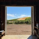 승자농장 이미지