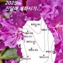 개화 이미지