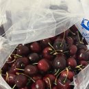 야채도사과일도사 - 해운대구 세실로 87 | [평점 4.75점] '야채도사' 프리미엄 생체리 2kg (내돈내산/찐후기)