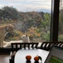 김씨주택 민박 이미지