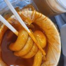 대구 상인동 카페 고소쫀득한 아몬드크림라떼 풍미! 에그마요 샌드위치 폭신했던 커피달라꼬
