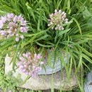 광바위주유소 이미지