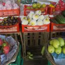 메디피스 이미지