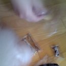 아지의스낵 이미지