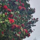 신흥2리마을회관 이미지