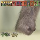 내돈내산 써클 DNA 유전자 검사 후기