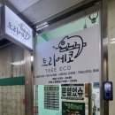 모프작업실 | [인천, 연수] 이색반려동물 파충류 샵 , 트리에코 방문 후기