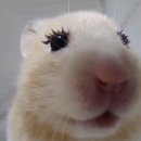 쌩얼공주 | ez뷰티연구소에서 공주님 속눈썹 된 후기😍 | 구리 속눈썹 펌 | 경기도 속눈썹