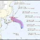 제8호 태풍 네파탁 27일 일본 상륙…도쿄 올림픽 엎친 데 덮친 격 이미지