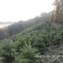 도롱리 마을회관 이미지