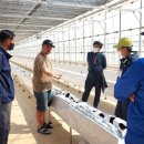 형석농장 이미지