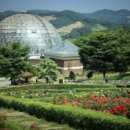 금강자연휴양림 이미지