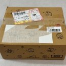 보따리요정 | 짐패스 직구 후기 [귀여운 아기들 한보따리]