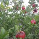 범은농장 이미지