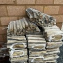 순라황토펜션 이미지