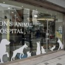 손수의과병원 이미지