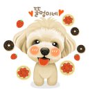 똘멍이네 이미지