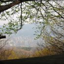 청량산의 봄 이미지