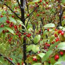 권선3공원 이미지