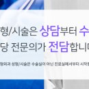 티나성형외과의원 네이버블로그
