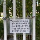 가원시루까페 | 인간실격 짐승합격