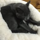 빨래쟁이 이미지