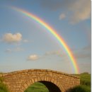 무지개다리 이미지