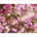 운서초등학교 이미지