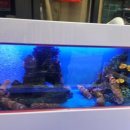 금성수산 이미지