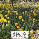 화담숲 4월 꽃 , 포토존 후기