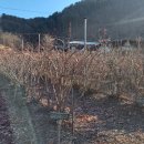 아침햇살 이미지