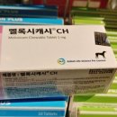 건강과행복이열리는약국 이미지