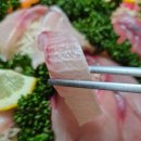 대광 | 대전 대방어 맛집 노은수산시장 대광수산 내돈내산 후기