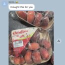 NEW굿모닝 노래연습장 | 🐨 12월 브리즈번 라이프| Happy New Year!!!