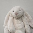 대한토끼 | 국민토끼 젤리캣 실패 후기