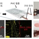 네트웍소프트 이미지