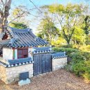 당목마을 당제 이미지