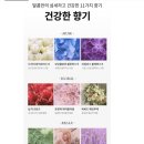올리브영은행나무