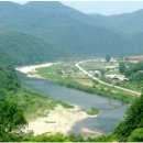 산채으뜸마을 이미지