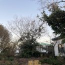 차귀도 약국 | 제주한달살이숙소 작은한채 고산 아기랑 감성 가득 솔직후기