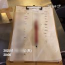 미문당 | 구리 돌다리 막걸리 종류가 많은 전집 전대미문 후기